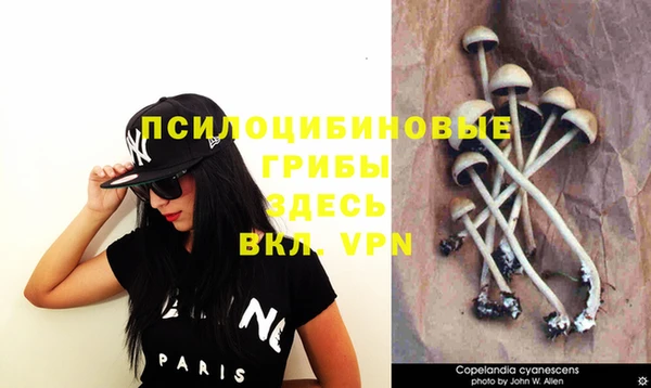 марки nbome Карпинск